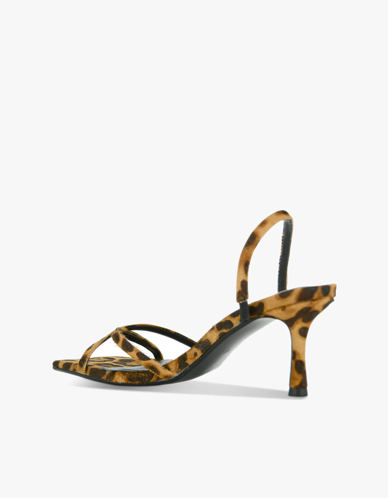Erika Heel - Jaguar - Image 4