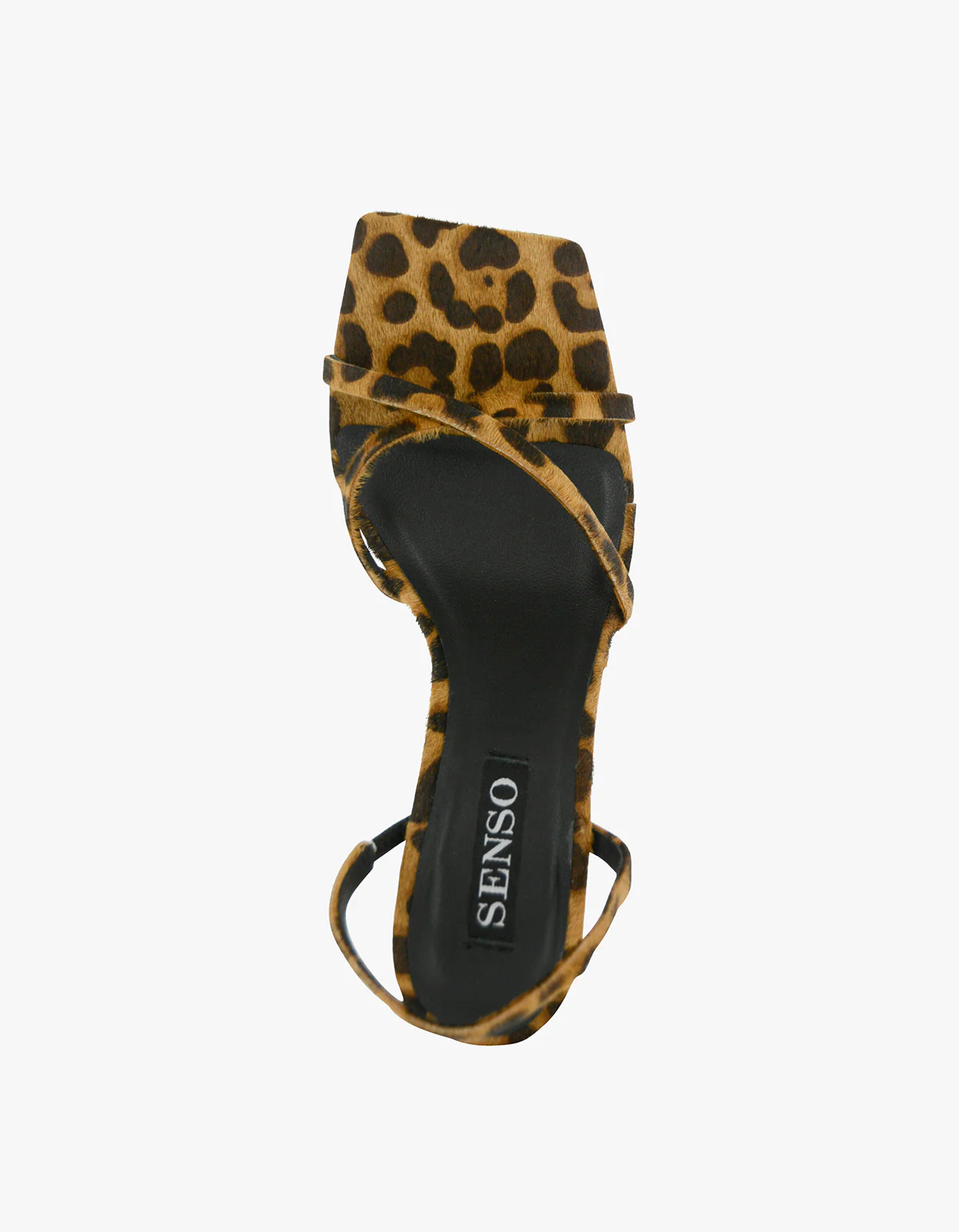 Erika Heel - Jaguar - Image 5